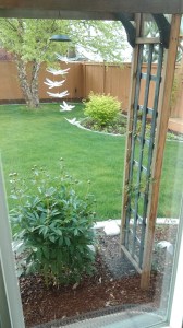 Renewal trellis 5-16-15