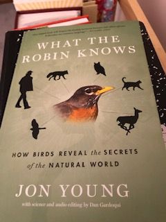 What the Robin Knows